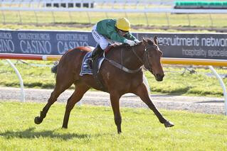 Humble Pie (NZ) Impresses in New Zealand Bloodstock Three-Year-Old. Photo: Race Images South